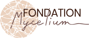 logo de la fondation Mycelium
